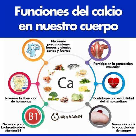 Esquema de la importancia del calcio en la salud ósea
