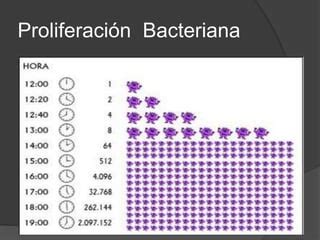 Gráfico ilustrativo de la proliferación bacteriana en alimentos descongelados y recongelados