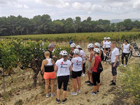 Ciclistas disfrutando de una ruta por los viñedos del Penedès