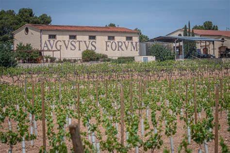 Bodega de Avgvstvs Forvm con viñedos al fondo