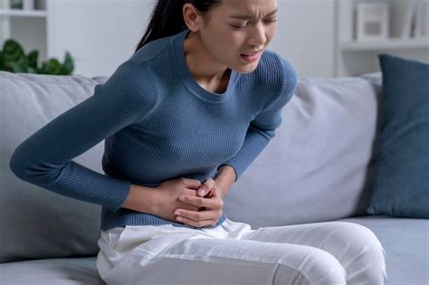 Mascota enferma con dolor abdominal