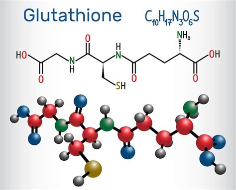 Estructura molecular del glutatión (GSH) y su interacción con radicales libres