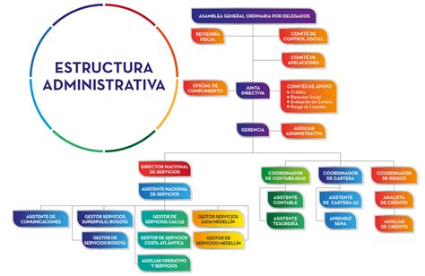 Esquema de la estructura administrativa de Cuenca