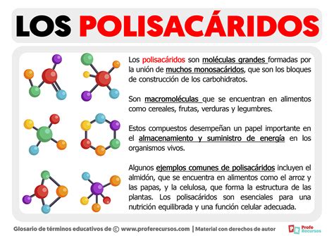 Estructura de un polisacárido