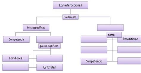 Mapa conceptual de interacciones entre el ámbito judicial, académico y político