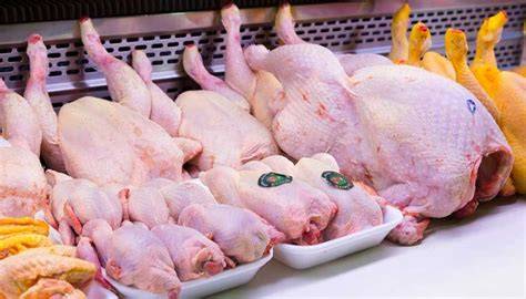 Expositor de productos frescos de aves de corral en Sertina