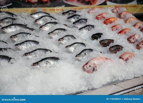 Pescado fresco en hielo