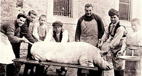 Varias personas participando en la matanza tradicional del cerdo
