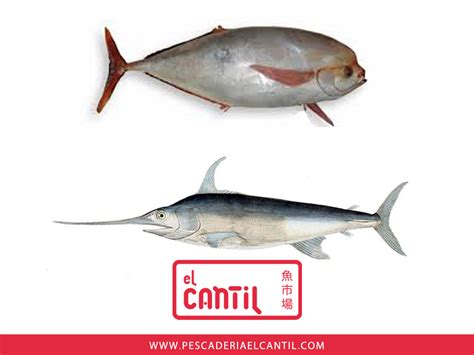 Pescadería con pez espada y emperador