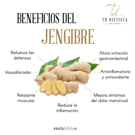 Propiedades y beneficios del jengibre