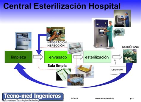 Diagrama del proceso de esterilización natural de alimentos