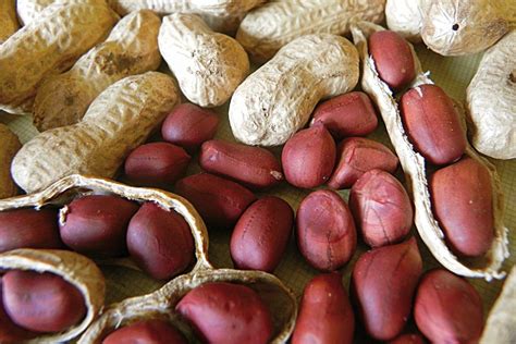 Cacahuetes en su vaina