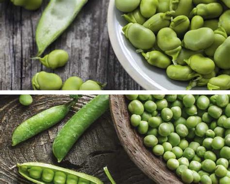 Guisantes y habas