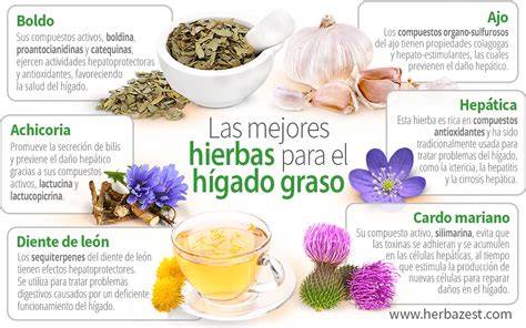 Plantas medicinales para el hígado