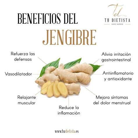 Infografía sobre los beneficios del jengibre para la salud