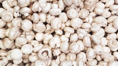 Champiñones frescos y limpios listos para cocinar