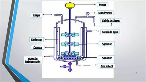 Esquema de las partes principales de un fermentador de cerveza