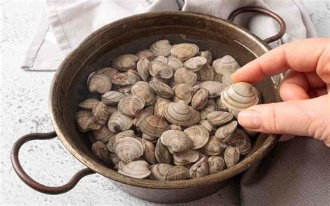 Almejas en agua con sal