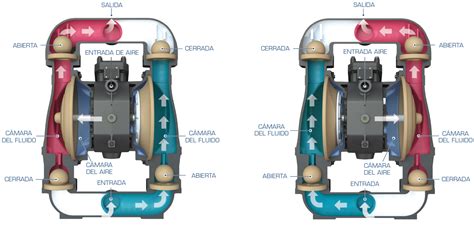 Bomba de diafragma doble higiénica en funcionamiento