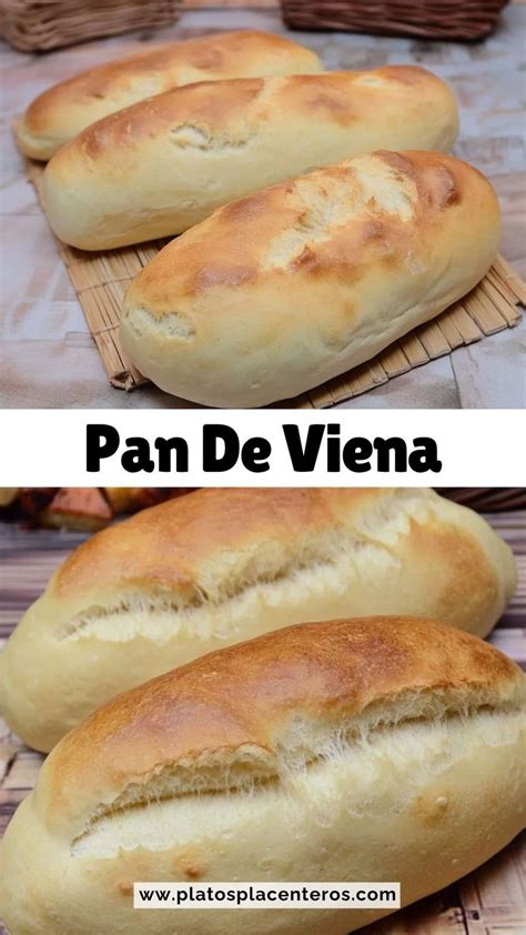 Masa de pan de Viena en un bol, lista para levar