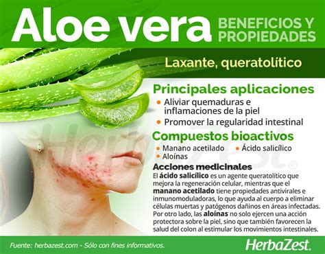 Propiedades curativas del aloe vera