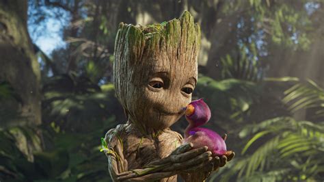 Groot en Puerto Rico