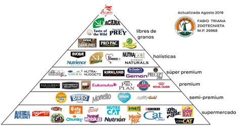 Pirámide alimenticia para gatos