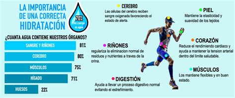importancia del agua en la hidratación de pollos de engorde