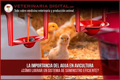 componentes técnicos para circuitos de agua en granjas avícolas