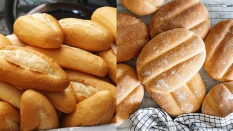 Bolillo, birote y telera