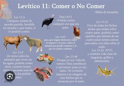 Fragmento del Libro de Levítico con las leyes dietéticas