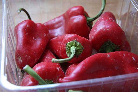 Pimientos del piquillo frescos