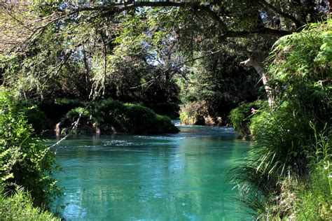 Paisaje del río Órbigo con vegetación ribereña
