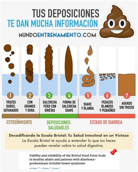 Diferencia entre heces normales y heces con diarrea