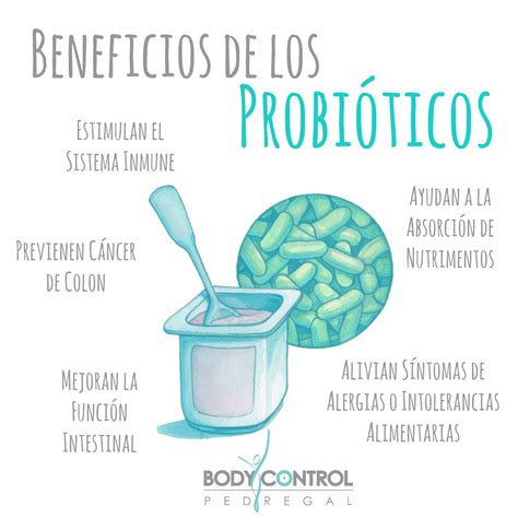 Beneficios de los probióticos para la salud intestinal