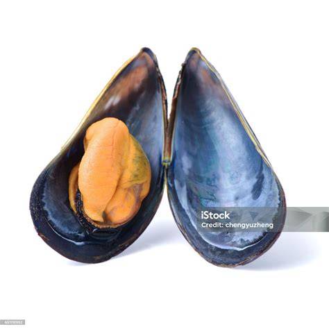 Mejillones abiertos