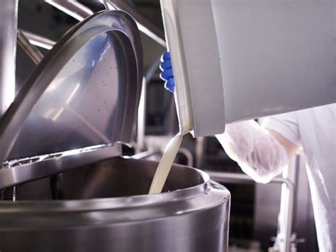 Proceso de mezcla de ingredientes para alioli