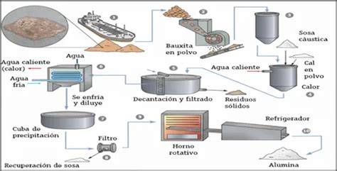 Esquema del proceso de obtención de las diferentes pimientas del Piper Nigrum