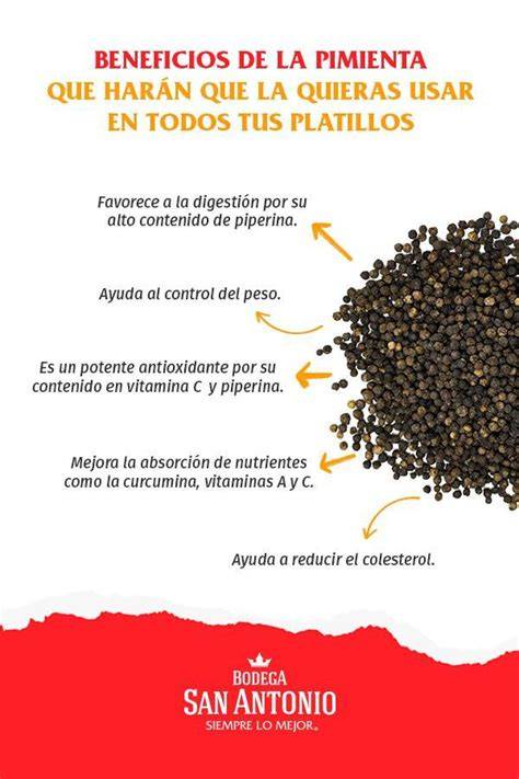 Infografía sobre los beneficios de la pimienta para la salud
