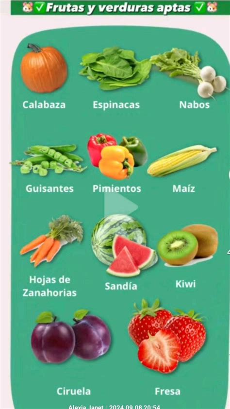 Variedad de frutas y verduras aptas para ardillas