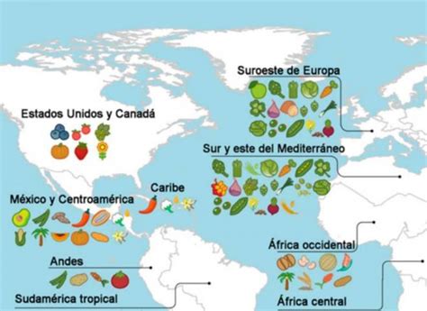 Mapa de los orígenes de los ingredientes de Nuii