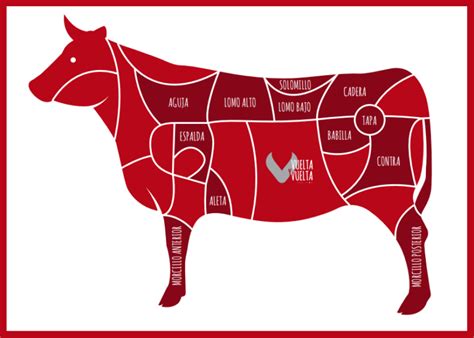 Cortes de ternera para burger meat