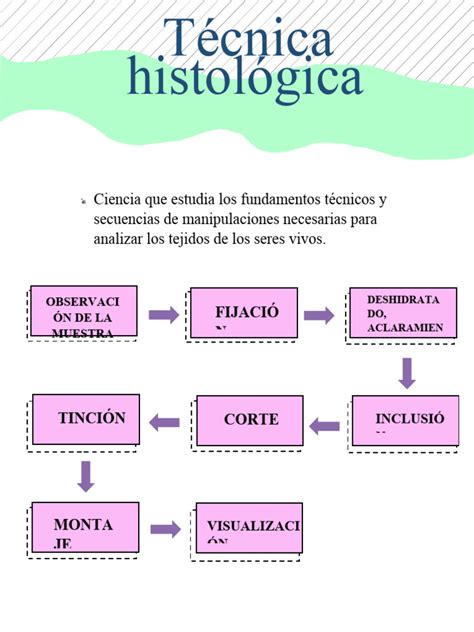 Diagrama paso a paso de la técnica