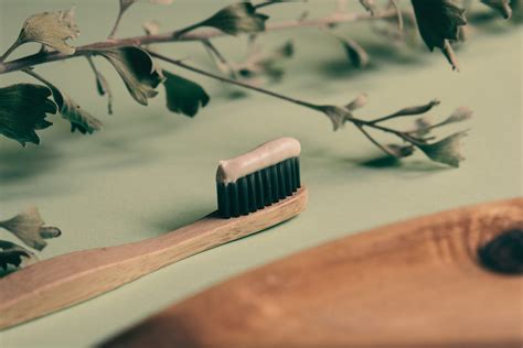 alternativas ecológicas de pasta de dientes