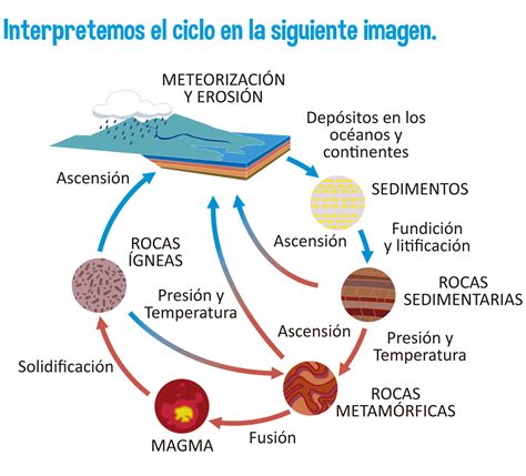 Esquema del ciclo de la sequía