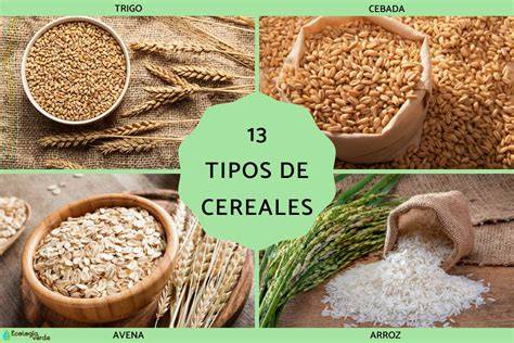 Tipos de cereales con chocolate
