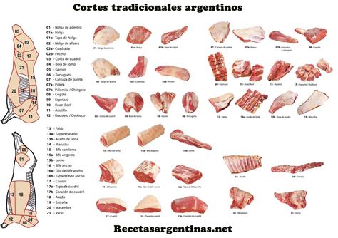 Variedad de cortes de carne para guisos