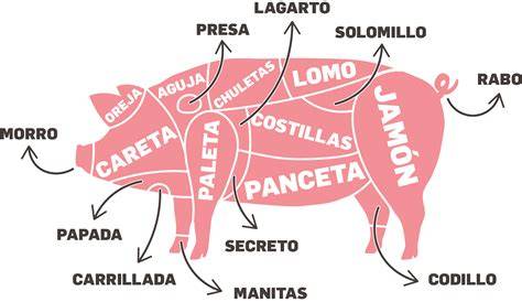 Partes de un cerdo y sus cortes