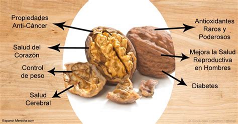 Propiedades nutricionales de las nueces