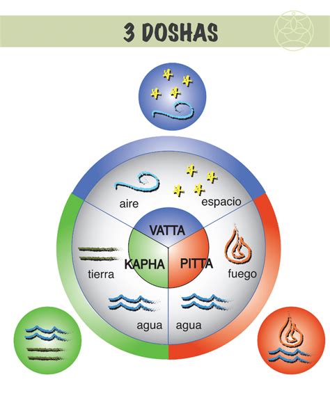 Diagrama de los doshas en Ayurveda